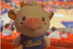 香港金牛当家球星&ldquo;La Bull Bull&rdquo;来感受CBA总决赛强度和氛围啦