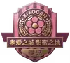 孝感队